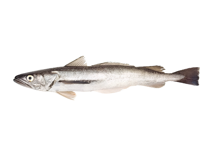 pescado importar (2)