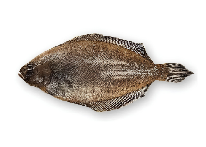 pescado importar